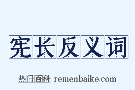 宪长反义词是什么意思的图片